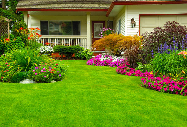 house garden