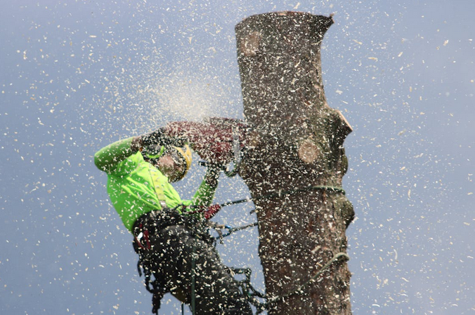 certified worker